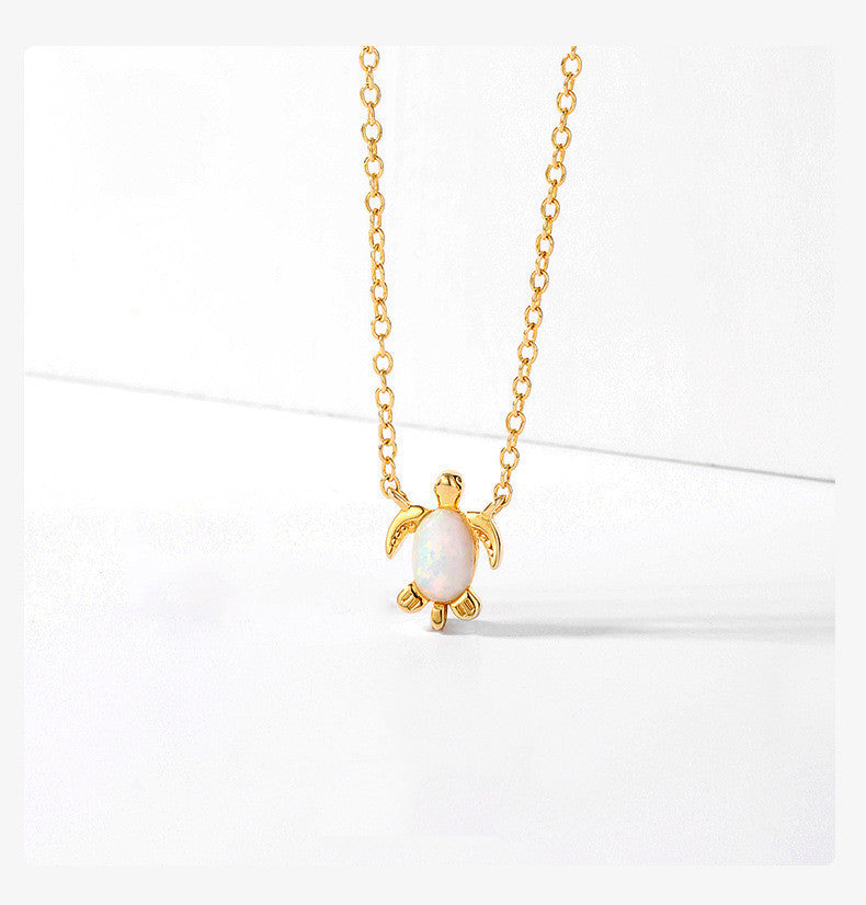 collar tortuga
